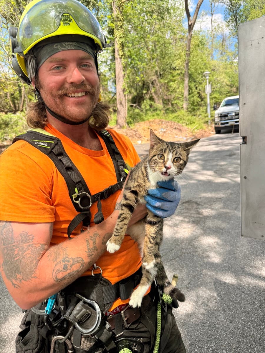 Alex Shy in climbing gear and helmet, holding a tabby kitten