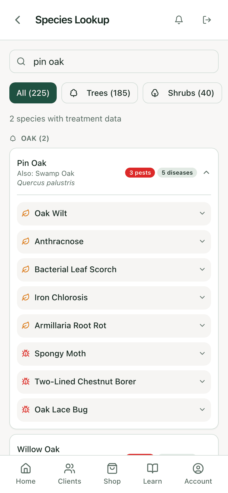 PHC Rx species lookup results for pin oak: the species card with its pest and disease counts, ready to open for the specified treatments