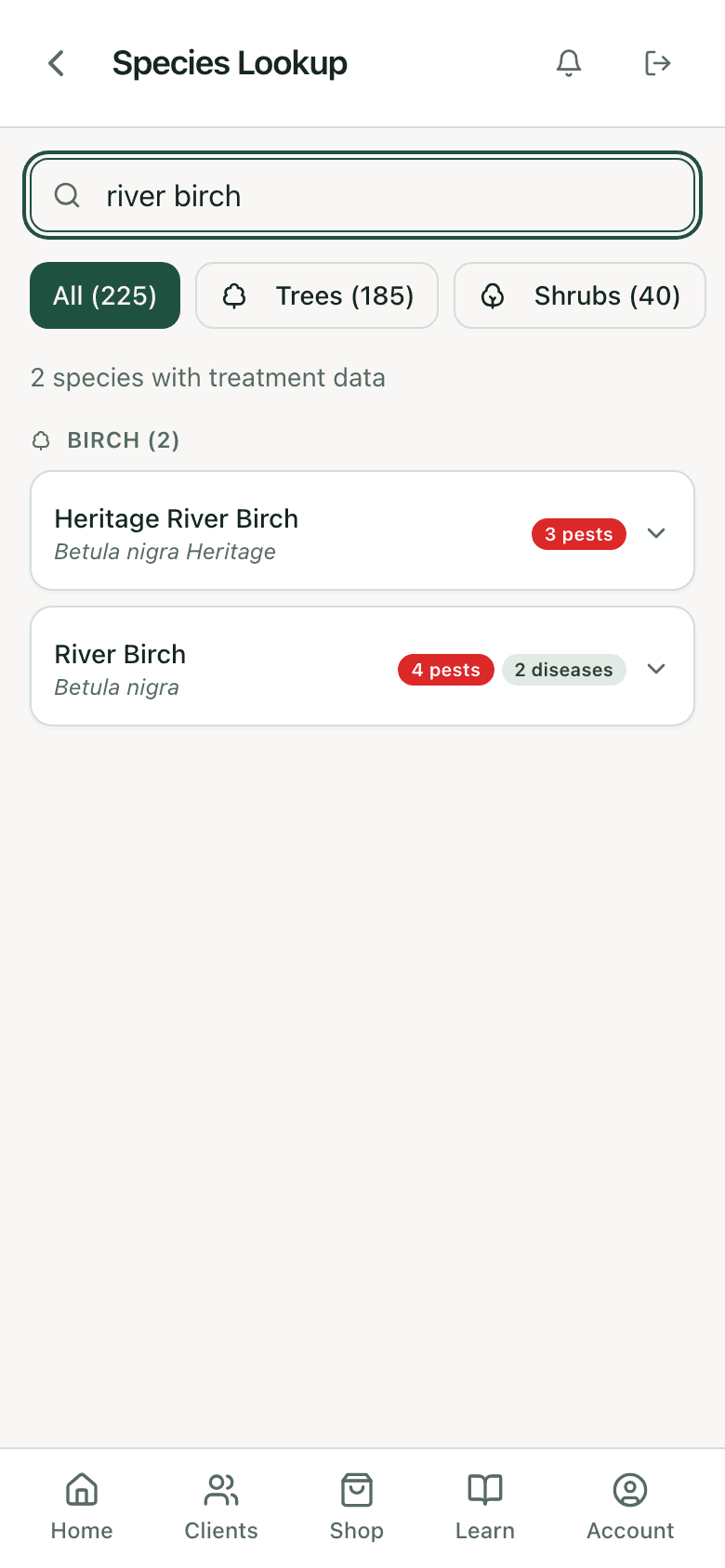 PHC Rx species lookup results for river birch: each matching species with its pest and disease counts, ready to open for the specified treatments