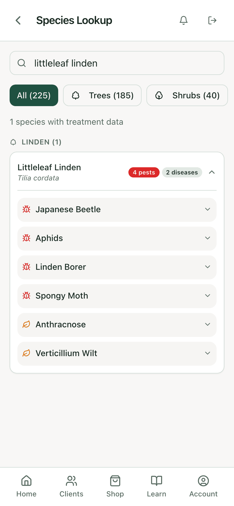 PHC Rx species lookup results for littleleaf linden: the species card with its pest and disease counts, ready to open for the specified treatments
