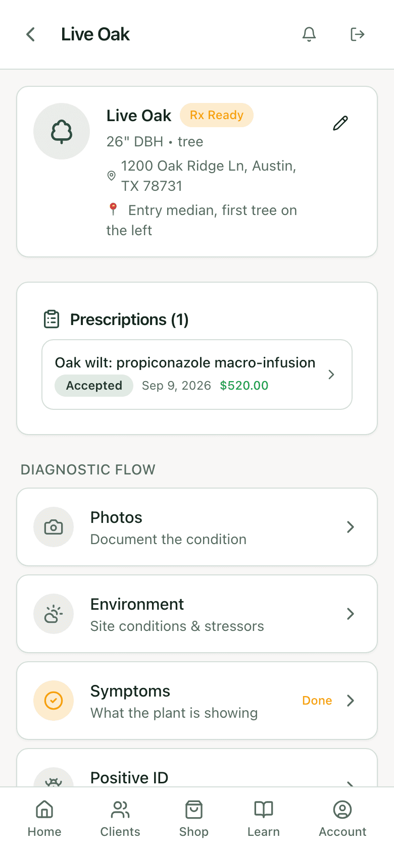 Plant detail for a Live Oak with an accepted prescription and the diagnostic flow