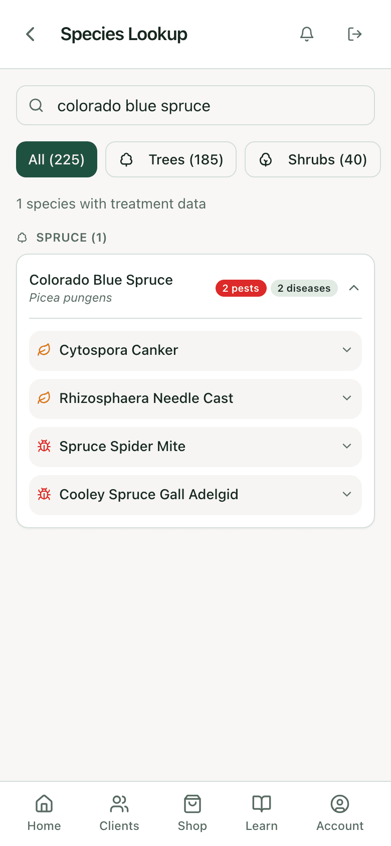 PHC Rx species lookup results for Colorado blue spruce: the species card with its pest and disease counts, ready to open for the specified treatments