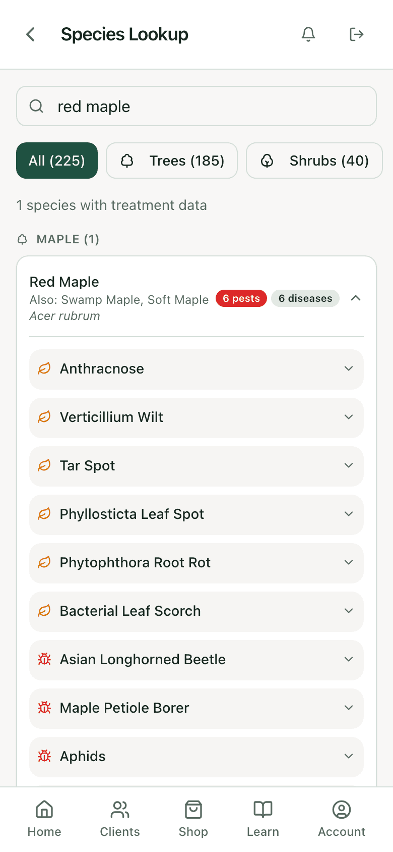 PHC Rx species lookup results for red maple: the species card with its pest and disease counts, ready to open for the specified treatments