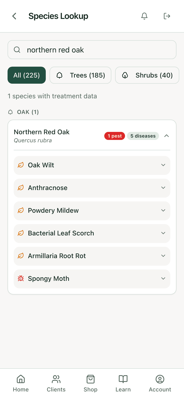 PHC Rx species lookup results for northern red oak: the species card with its pest and disease counts, ready to open for the specified treatments